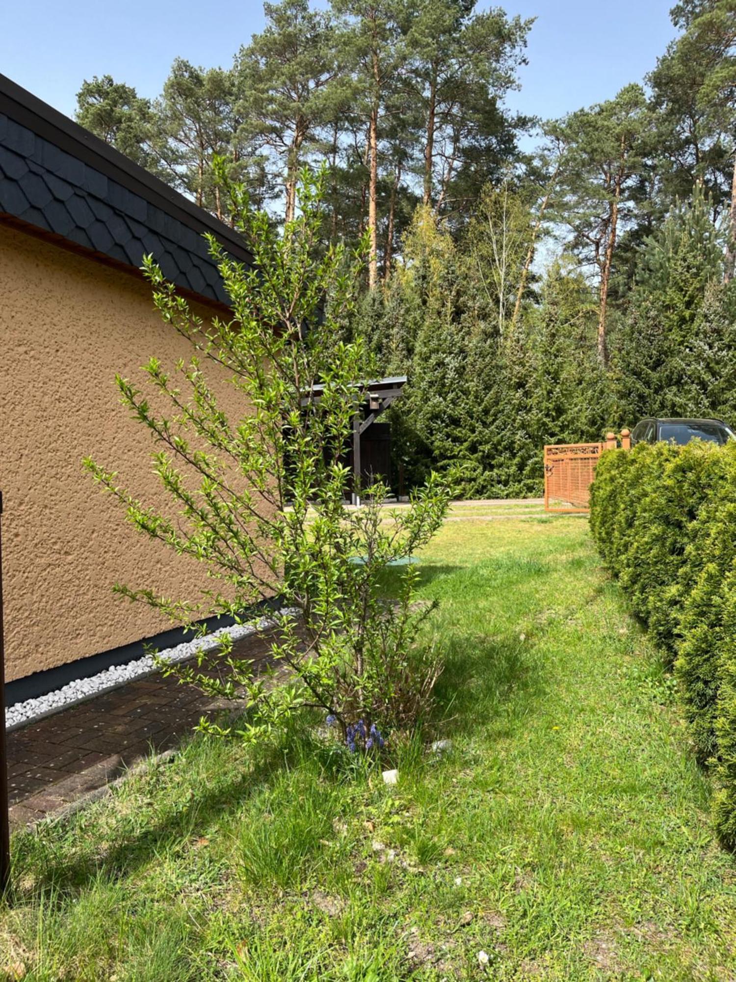 Ferienhaus Fjola Schenkendobern Exterior photo